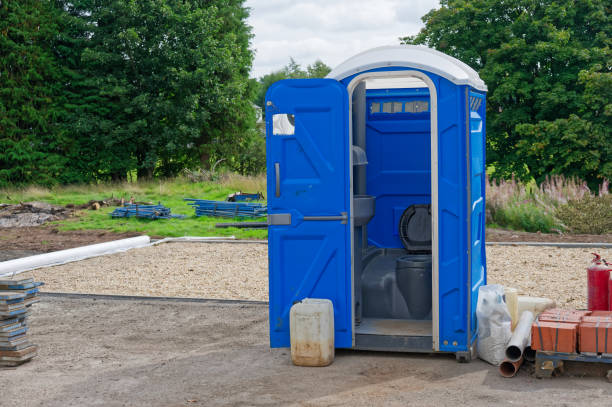 Best Eco-Friendly Portable Toilets  in Mcgaheysville, VA